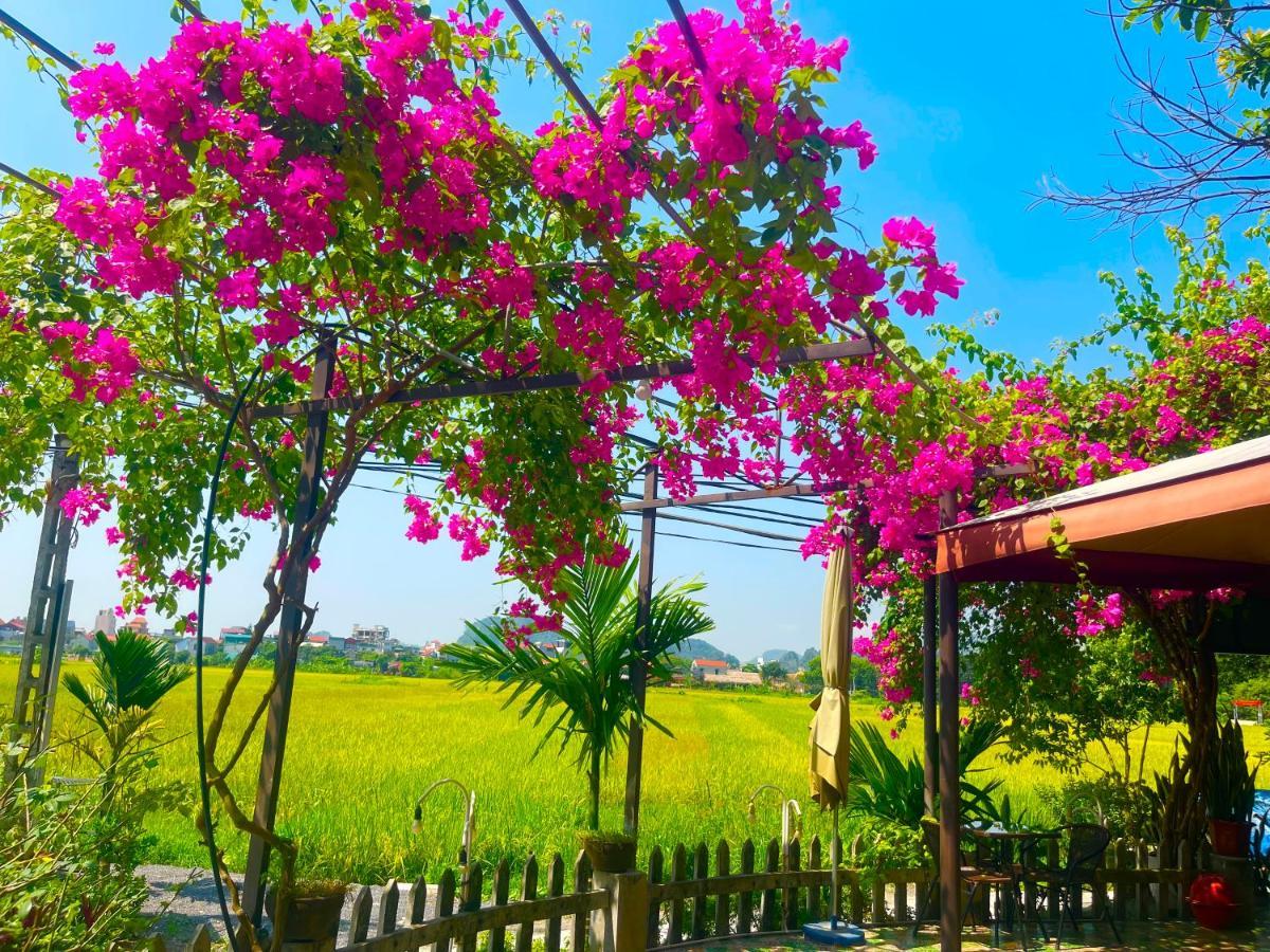 Tam Coc Eco Field Homes Ninh Binh Dış mekan fotoğraf